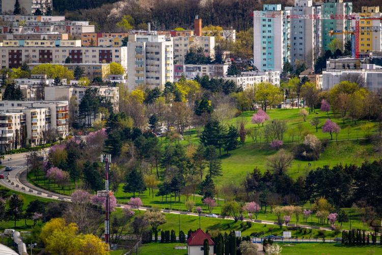 VIDEO. Peisaj de primăvară uluitor în parcul Colina din Mănăștur, văzut prin imagini filmate cu drona