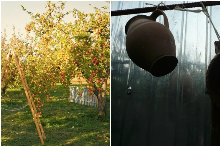 Izvorul Tămăduirii - Cum aflau bunicii cât mai aveau de trăit. Iată trucul transmis din generații vechi, pe care puțini îl știu