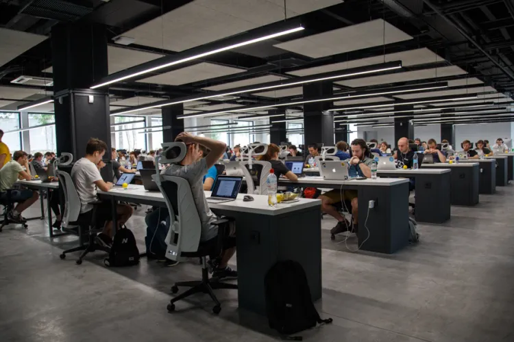 Tinerii, tot mai nemulțumiți de ofertele din piața muncii. Se doresc salarii mai mari, fără experienţă. Doi din cinci nu se angajează în domeniul studiat