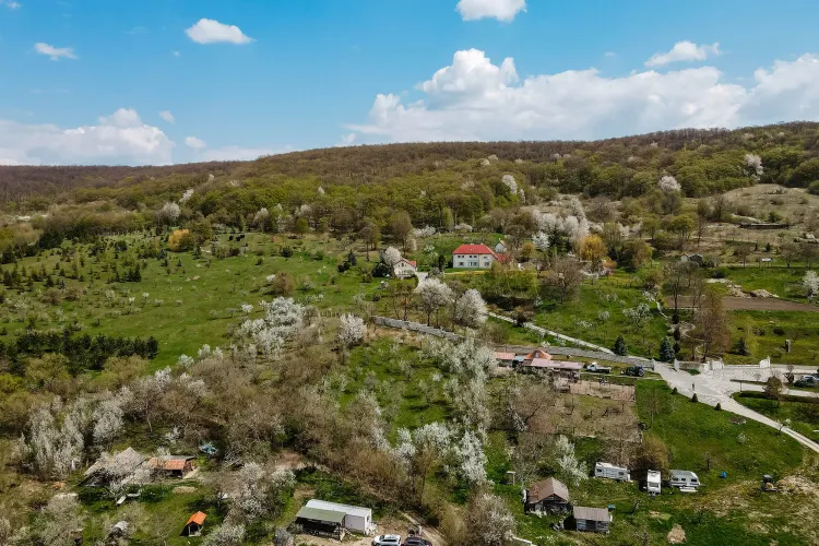 Paszkany își vinde VISUL și Domeniul Chidea, demn de o familie princiară! Suma cerută este exorbitantă, dar frumusețea e unică - FOTO