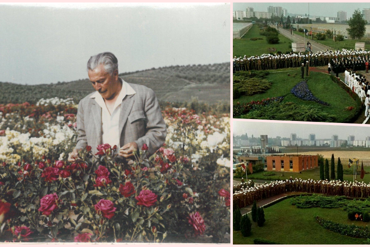 Cât de frumos și ordonat era totul, în 1984, la serele de flori din cartierul Gheorgheni, creația lui Rudolf Palocsay - FOTO
