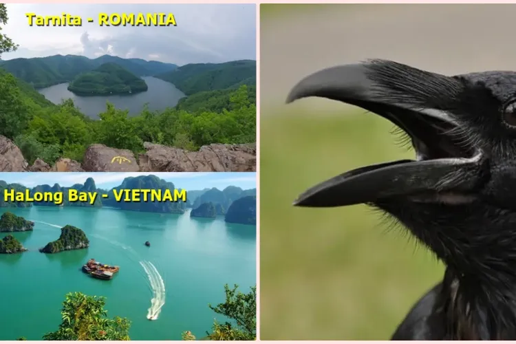 Piatra lui Dan, de la Tarnița, comparată cu o celebră destinație din Vietnam. Locul era casa ”Corbilor Vorbitori” - FOTO