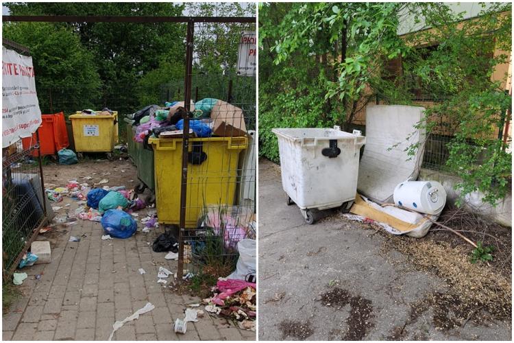 Clujeni revoltați de lipsa de obraz a concetățenilor, care își bat joc de zonele cu pubele de gunoi: „Primăria nu dă amenzi, e haos și mizerie”