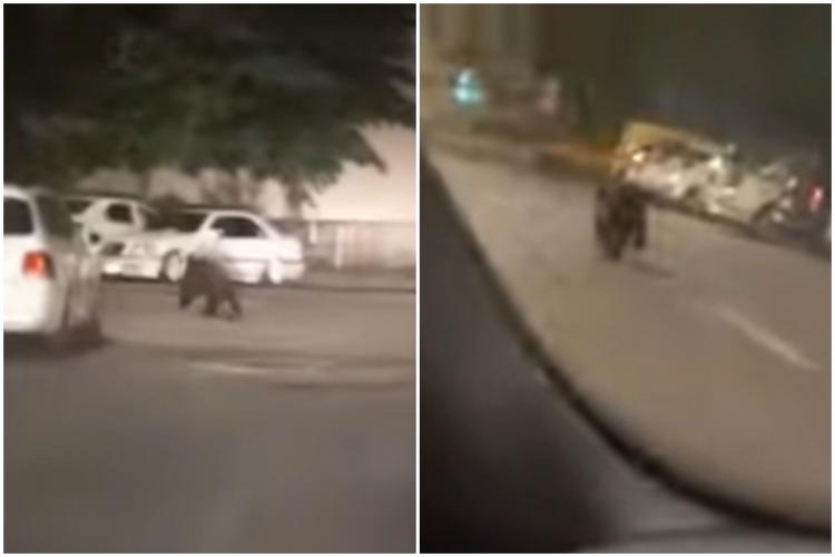 VIDEO. Urs surprins de un șofer, alergând liber pe străzi. Autoritățile ridică din umeri din nou, după ce ursul „eluziv” le-a scăpat pentru a doua oară