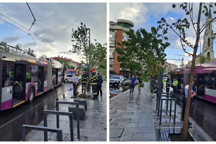 O clujeancă a ajuns la UPU după ce un troleibuz a încercat să evite un arbore plantat prost, pe 21 Decembrie 1989 - FOTO