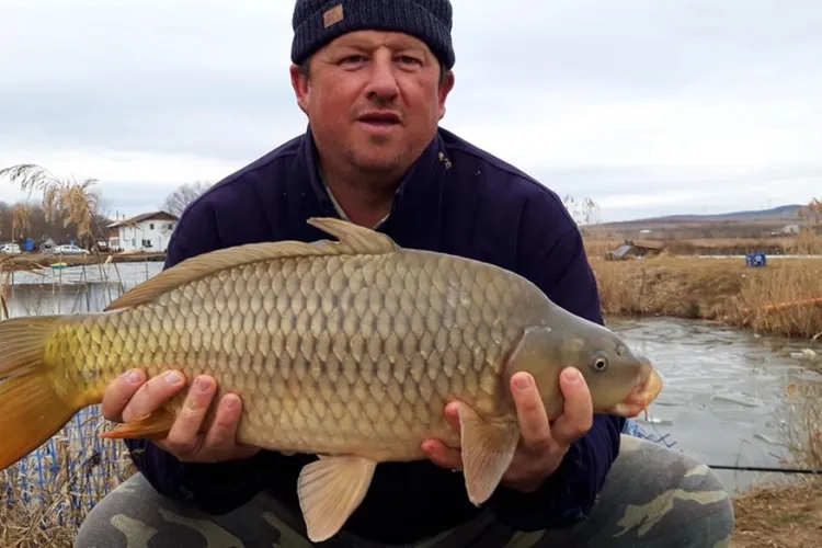 Poliția Cluj îi dă dreptate cântărețului Sergiu Sotelecan în scandalul de la lacul din Ciurila, dar și el e cercetat