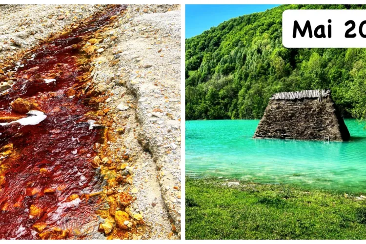”Curge încă “sânge” pe râurile de la Roșia Poieni - Geamăna - Roșia Montană” - Apocalipsa roşie din paradisul verde - FOTO