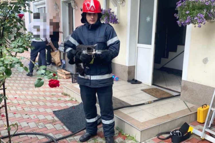 Pisică salvată de flăcările unui incendiu, din subsolul unei case din Cluj-Napoca - FOTO 