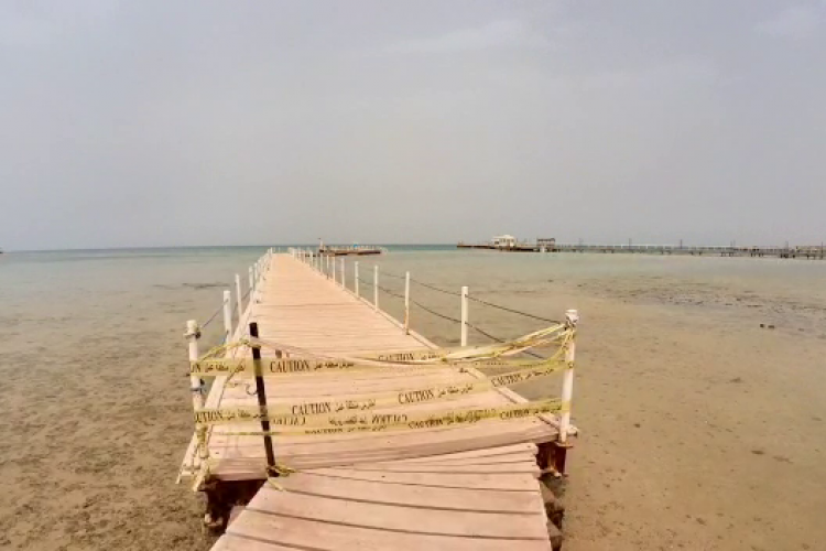 Turiștii nu mai pot intra în mare la Hurghada, după ce un rus și-a pierdut viața atacat de un rechin- VIDEO
