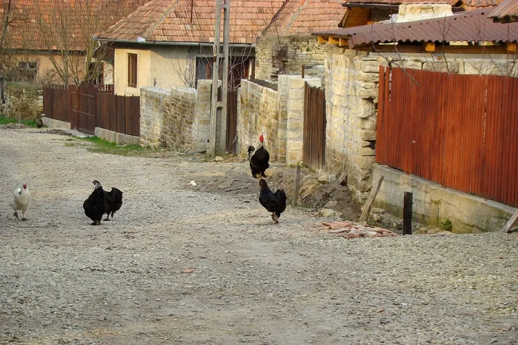 Chidea, satul de piatră al Clujului! ”Tineretul a plecat. Dar nu definitiv. La sfârșitul săptămânii vin înapoi. De acasă, vin acasă” - FOTO
