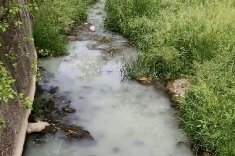 Apă contaminată pe un pârâu afluent Someșului, pe o lungime de aproximativ 200 de metri. Au fost chemate autoritățile