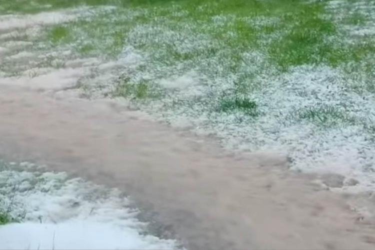 VIDEO. Ploaia cu gheață face prăpăd la Dealu Negru, în județul Cluj. Clujean: „S-a dezlănțuit grindina, dezastru!”