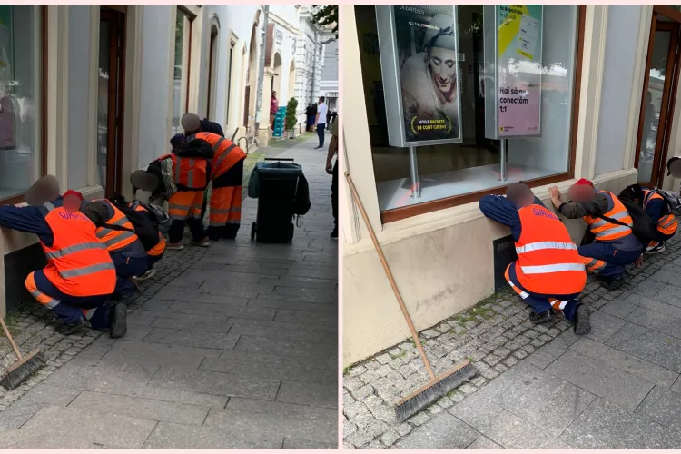 Cluj - Cooperativa ”munca în zadar”! Șase oameni culegeau iarba dintre dalele de granit, în centrul orașului - FOTO