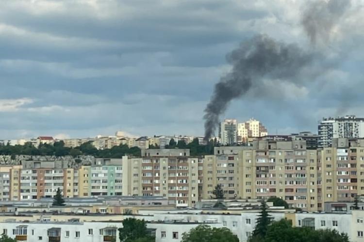 Incendiu de vegetație în zona străzilor Gheorghe Dima și Frunzișului - FOTO