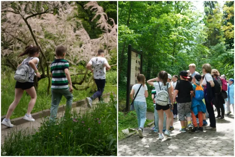 „Copiii merită să fie sărbătoriți într-un loc magic”. Grădina Botanică îi întâmpină gratuit pe copii, cu prilejul zilei de 1 iunie