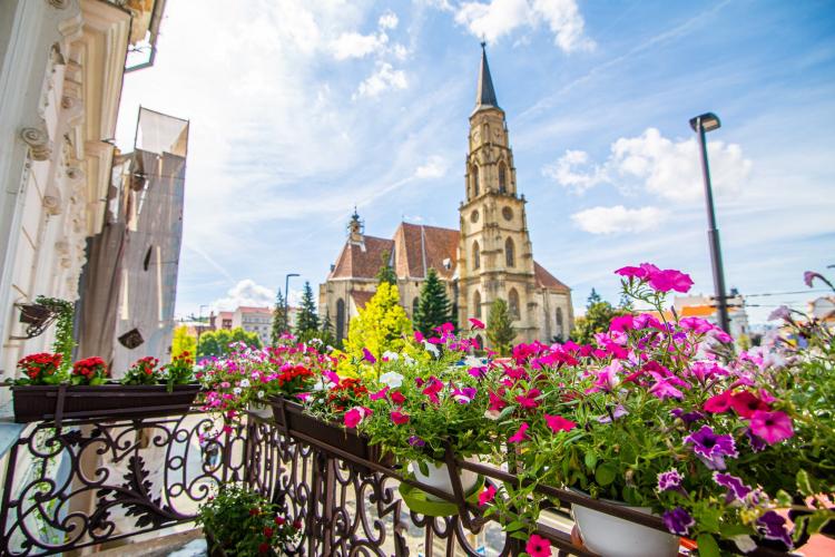 Cea de-a șaptea ediție „Clujul cu flori” aduce reguli noi de concurs