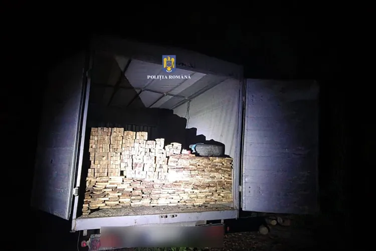 Polițiștii clujeni, pe urmele hoților de lemn. Un șofer a fost prins transportând ilegal cherestea și a primit o amendă usturătoare