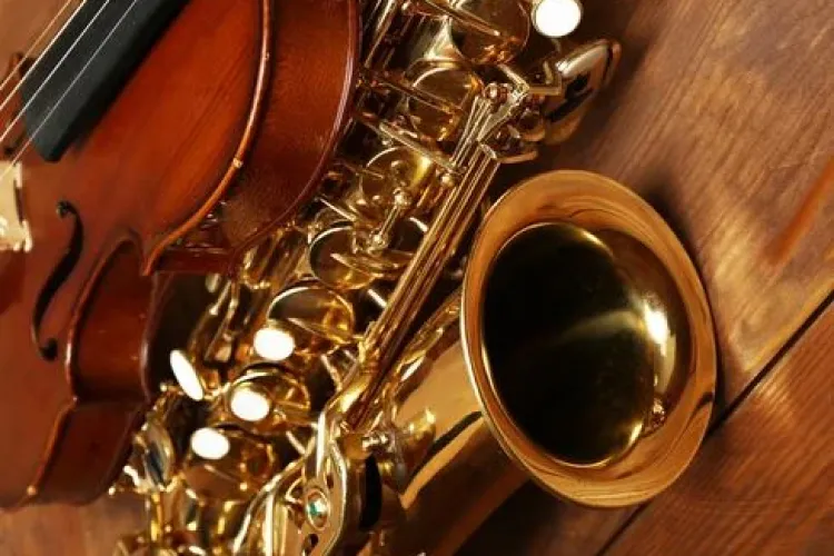 Un bărbat din Sălicea fura din casele vecinilor. Au găsit în casa lui o drujbă electrică, un saxofon și o vioară - FOTO