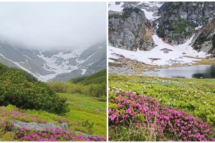 Turistă amendată pentru că s-a filmat, cântând, în timp ce vizita o zonă montană extrem de populară din Ardeal
