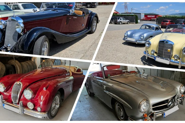 Ce mașini! ”Atenție, imagini cu puternic impact emoțional!” - Cei de la RAR au verificat o colecție de mașini de milioane de euro - FOTO