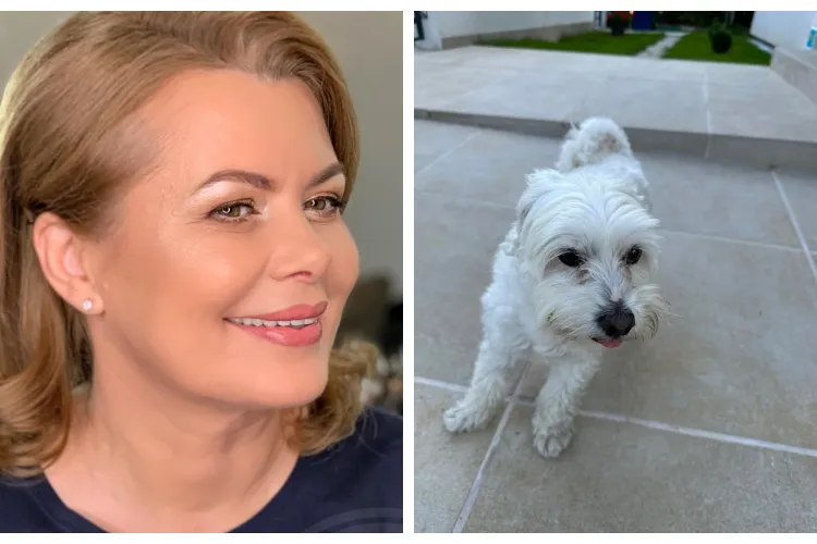 Clujeanca Aurelia Cristea, iniţiatoarea legii antifumat, a găsit un câine pe stradă și l-a luat acasă. Îi roagă pe clujeni s-o ajute la căutarea stăpânului