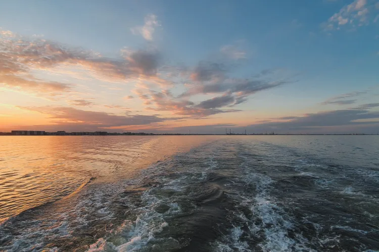 Alimente fierte cu mult înainte de a fi consumate și spații insalubre la localurile de pe litoral! Șeful ANPC: „Unele locații par ca după bombardamente”