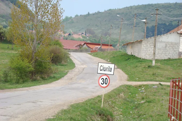 În Ciurila, autoritățile sunt acuzate de o activistă incomodă că otrăvesc cățeii ”în timp ce în centrul orașului e ștaiful ștaifului, la TIFF”