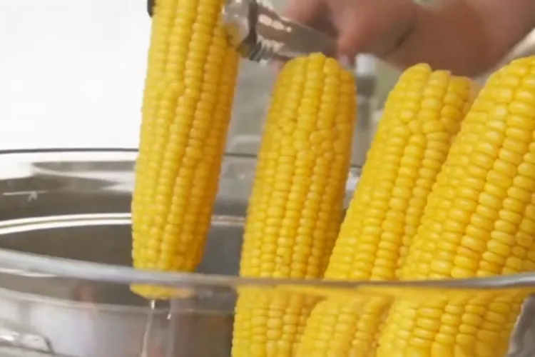 Cât costă un porumb fiert pe litoral. A devenit ceva de lux