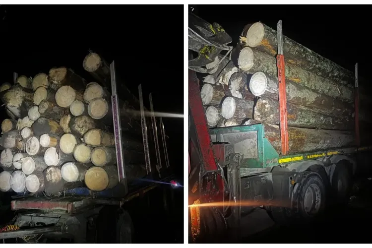 Le-au confiscat lemnele furate. Bine le-au făcut, dar ar trebui mai des - VIDEO și FOTO