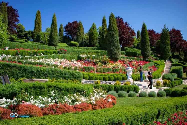 Incursiune la Giardini di Zoe! Unde se află cea mai frumoasă grădină de vizitat în această vară - FOTO