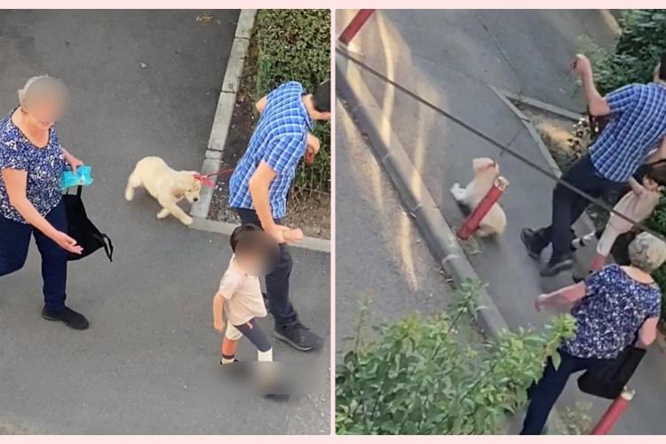 Cluj: Pui de câine, chinuit de un părinte, de față cu propriul copil: ”Unde să fac plângere?”- VIDEO