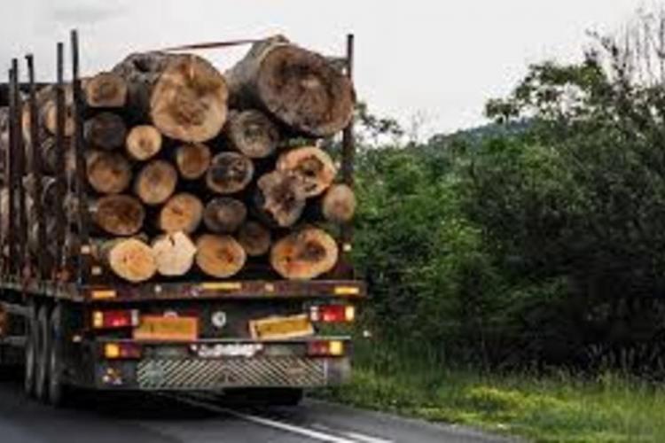 Camion cu lemne, confiscat de polițiștii clujeni, în urma unui control. O firmă a fost sancționată cu 4000 de lei