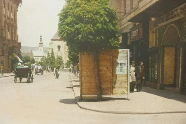 ”Retrageți repede fotografia ... O vede Boc și merge să scoată copacul …” - Imagine de demult cu copacii de pe Universității - FOTO