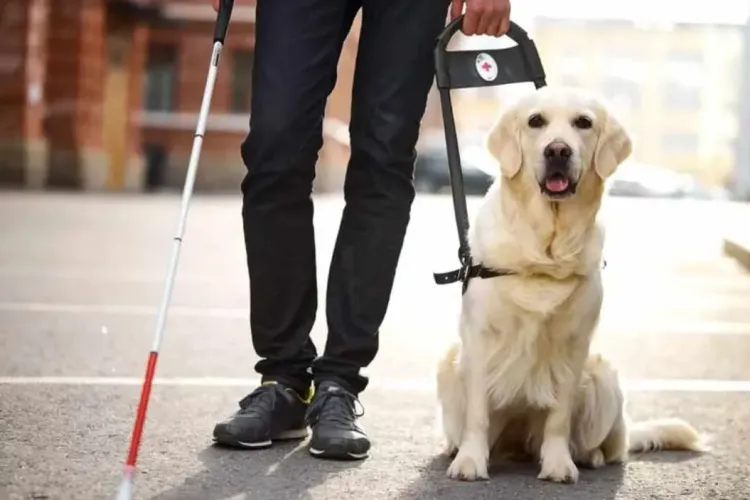 Uber pierde, în primă instanță, procesul cu un clujean nevăzător! Doi șoferi din Capitală i-au refuzat cursa: „Nu mă interesează, iau pe cine vreau”