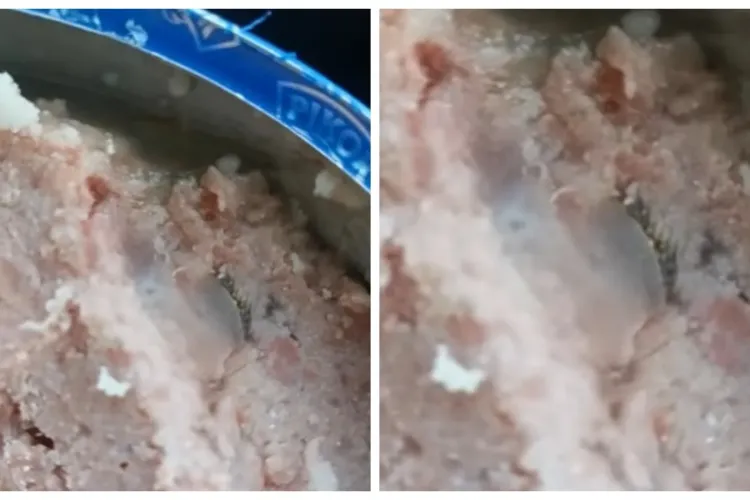 Ce a găsit un clujean într-o conservă de la Lidl: ”Erau gene și sprâncene în conservă” - VIDEO