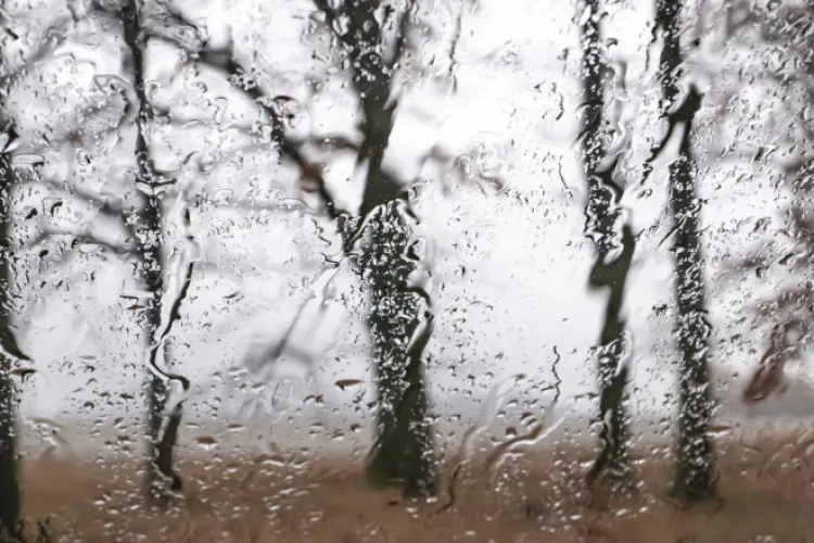 Furtuna puternică a făcut prăpăd în Cluj. Acoperișul unui bloc a căzut peste patru mașini în Gherla