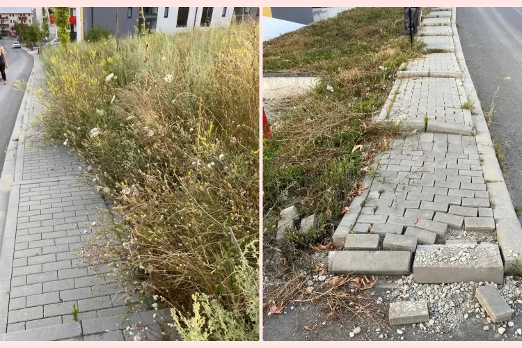 Bătaie de joc în Baciu! Așa arata un trotuar refăcut pe bani publici - FOTO