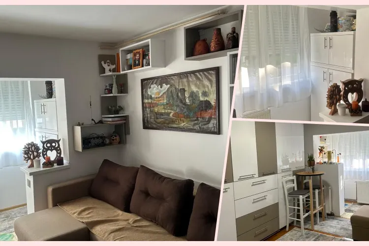 Garsonieră la preț imbatabil, lângă Cluj: ”Bună, pot oferi 10.000 euro și un purcel de tăiat” - FOTO