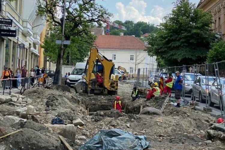 VICTORIE! Copacii de pe strada Universității nu vor fi scoși din rădăcini, în mod barbar - FOTO
