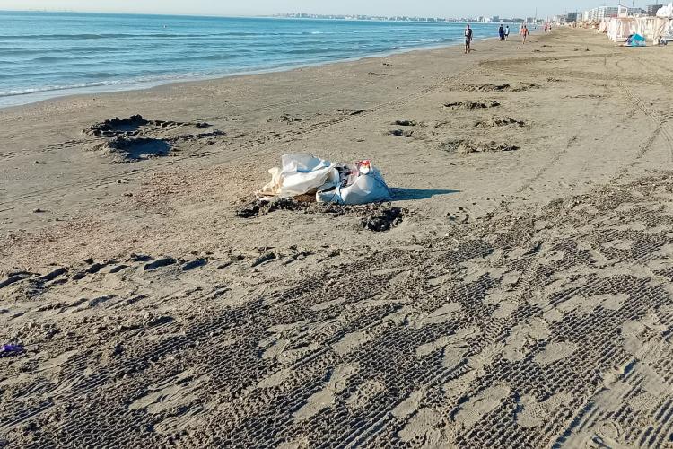 Imagini incredibile de pe plaja din Mamaia! ”Domnule ministru, când o să acordați importanța cuvenită litoralului românesc?” - FOTO