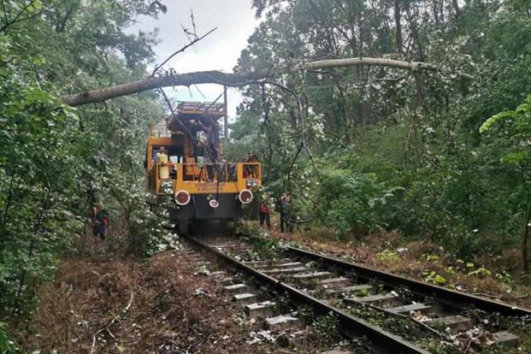 Trenurile au întârzieri de până la șase ore după furtunile de noaptea trecută! Zeci de copaci au căzut pe calea ferată
