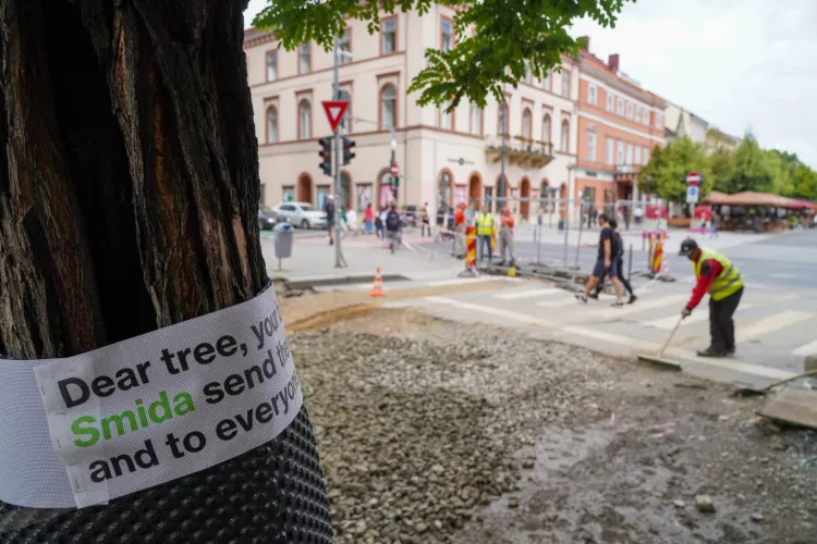 O statistică neplăcută pentru ”Clujul verde”! Clujul în top morți din cauza efectului de insulă de căldură urbană