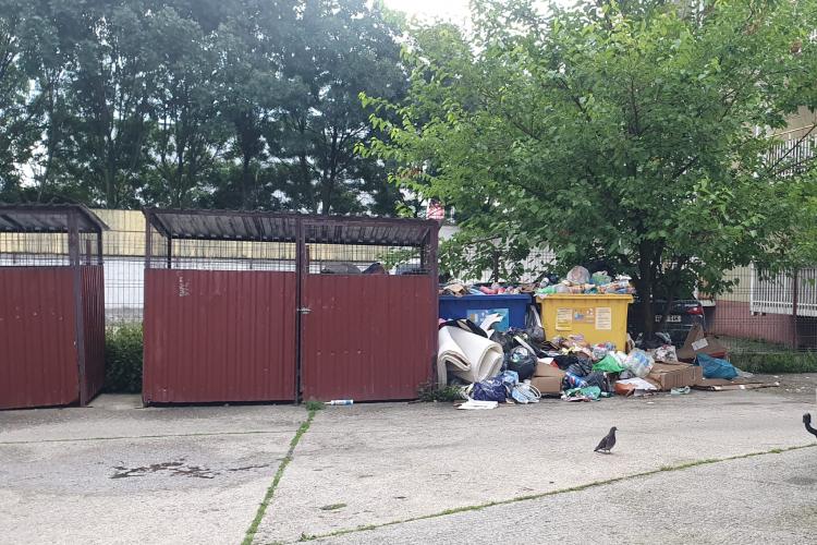 Clujenii sunt disperați din cauza gunoierilor de la Supercom, care nu colectează selectiv deșeurile: „Pierdem timpul cu sortări inutile”