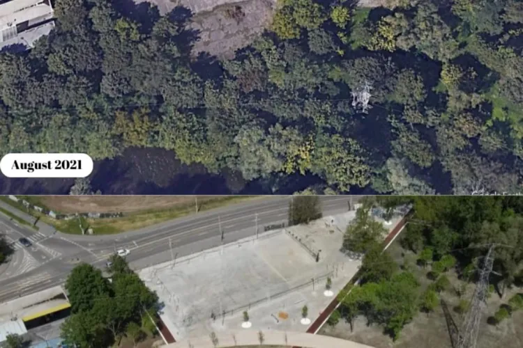 Copacii din Parcul Armătura din Cluj, măcelăriți pentru alei de beton și WIFI: ”Oamenii vor VERDE, nu pentru becuri, wireless sau gadgeturi inutile”