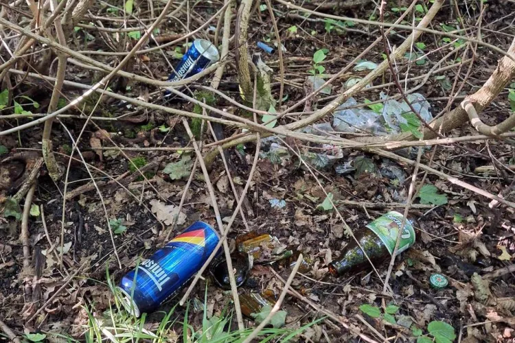 Gunoaiele inundă pădurea de lângă zona ,,La Terenuri”: ,,Zilnic găsim sticle sparte în jurul copacilor, pe lângă cantitatea mare de gunoi”- FOTO