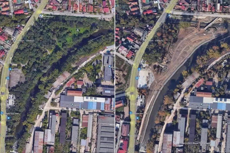 Boc ”O SĂ” planteze 2 milioane de copaci până în 2030? Activiștii îi transmit să termine cu PR și să revină la realitate