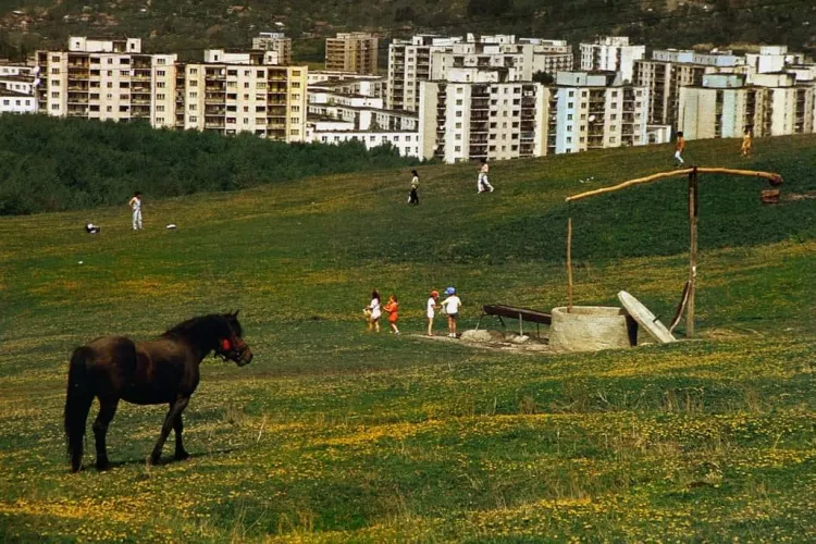 Mănășturul copilăriei noastre nu avea blocuri până lângă pădure. Imagini de la Groapa Moșului - FOTO
