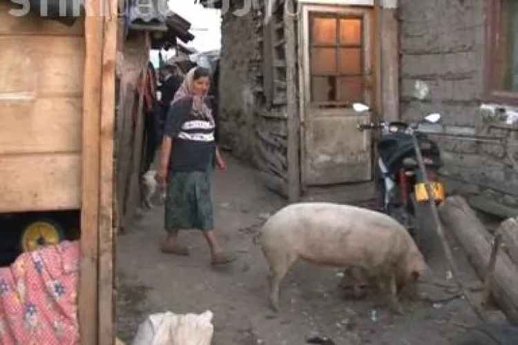 Mascatii au descins in tabara de tigani din Gherla - VEZI VIDEO
