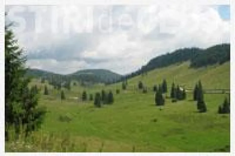 Comuna Maguri Racatau, al treilea proprietar de paduri din tara