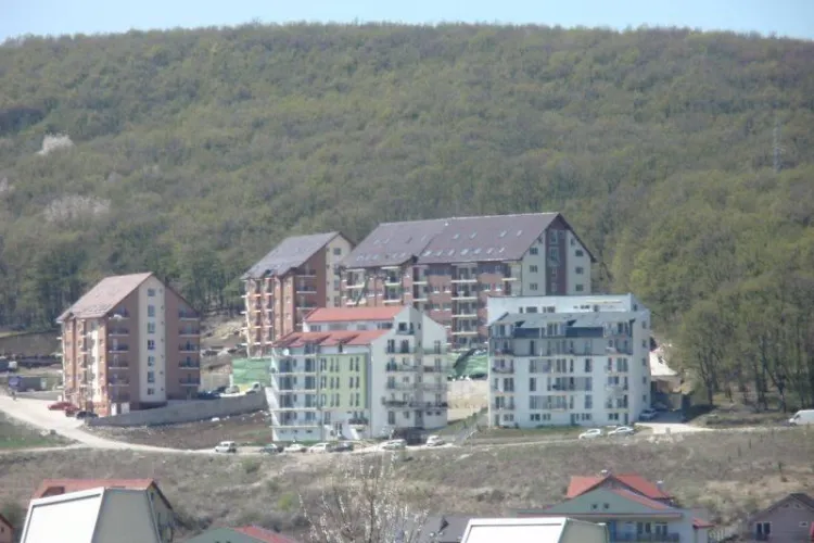 Proces pentru blocarea construirii unui cartier pe 20 de hectare in Padurea Faget!